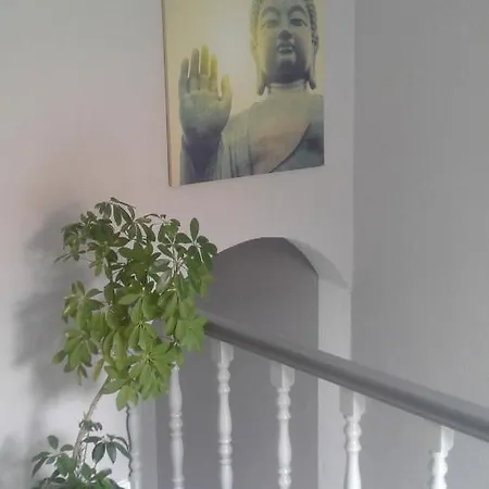 梅尔巴酒店 2* 丰沙尔